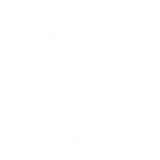 scent